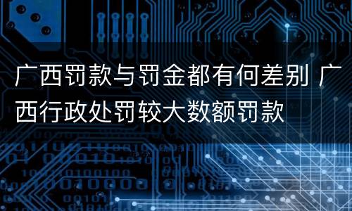 广西罚款与罚金都有何差别 广西行政处罚较大数额罚款