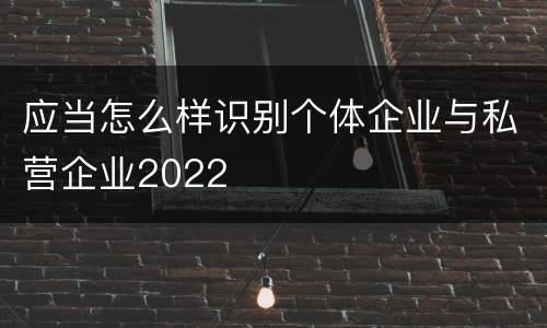 应当怎么样识别个体企业与私营企业2022