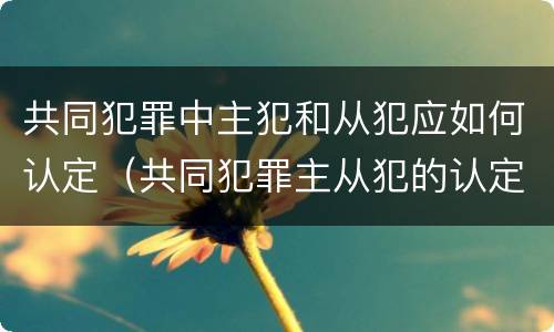 共同犯罪中主犯和从犯应如何认定（共同犯罪主从犯的认定）