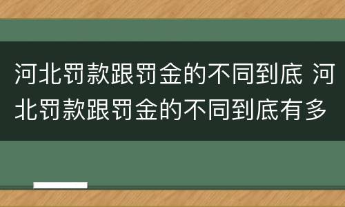 河北罚款跟罚金的不同到底 河北罚款跟罚金的不同到底有多少