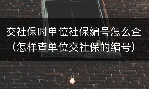 交社保时单位社保编号怎么查（怎样查单位交社保的编号）