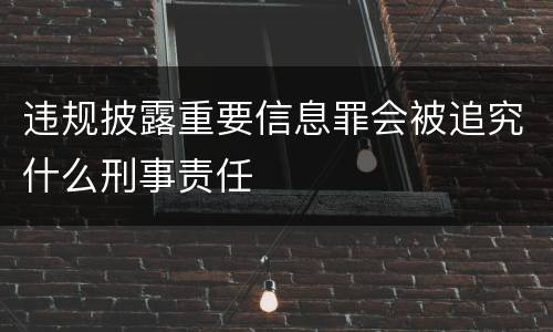 违规披露重要信息罪会被追究什么刑事责任