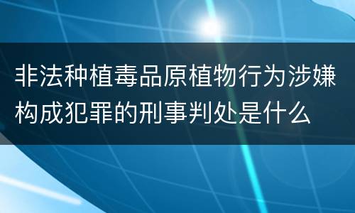 非法种植毒品原植物行为涉嫌构成犯罪的刑事判处是什么