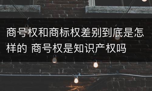 商号权和商标权差别到底是怎样的 商号权是知识产权吗