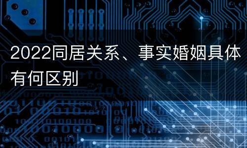 2022同居关系、事实婚姻具体有何区别