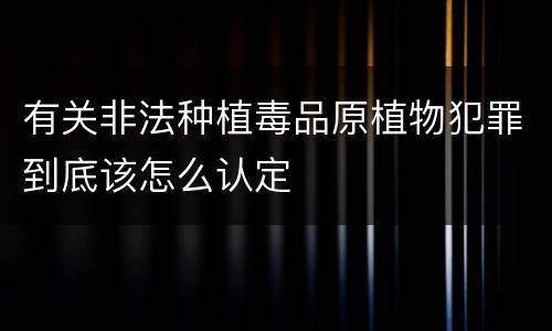 有关非法种植毒品原植物犯罪到底该怎么认定