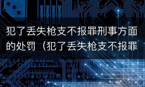 犯了丢失枪支不报罪刑事方面的处罚（犯了丢失枪支不报罪刑事方面的处罚标准）