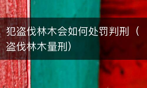 犯盗伐林木会如何处罚判刑（盗伐林木量刑）