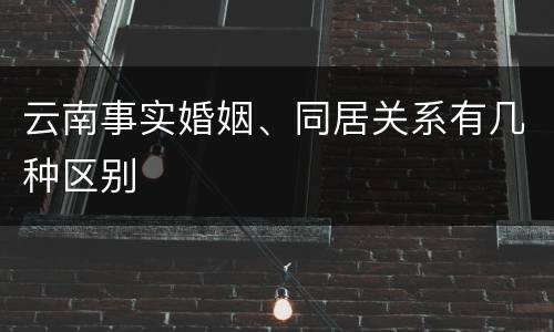 云南事实婚姻、同居关系有几种区别