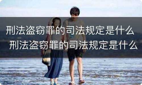 刑法盗窃罪的司法规定是什么 刑法盗窃罪的司法规定是什么意思