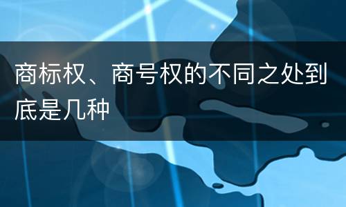 商标权、商号权的不同之处到底是几种