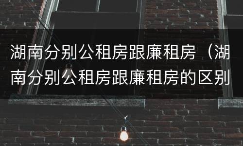 湖南分别公租房跟廉租房（湖南分别公租房跟廉租房的区别）