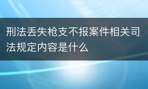 刑法丢失枪支不报案件相关司法规定内容是什么