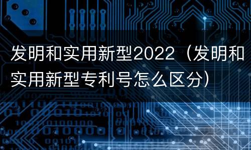 发明和实用新型2022（发明和实用新型专利号怎么区分）