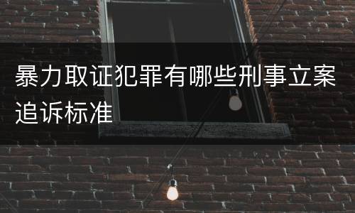 暴力取证犯罪有哪些刑事立案追诉标准