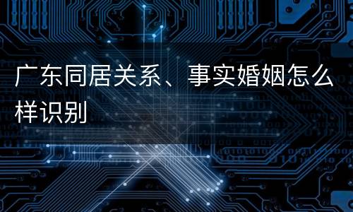 广东同居关系、事实婚姻怎么样识别