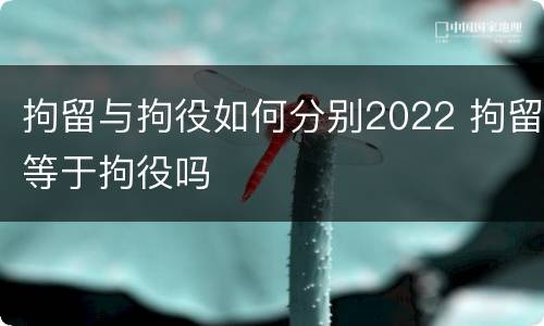 拘留与拘役如何分别2022 拘留等于拘役吗