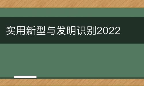 实用新型与发明识别2022