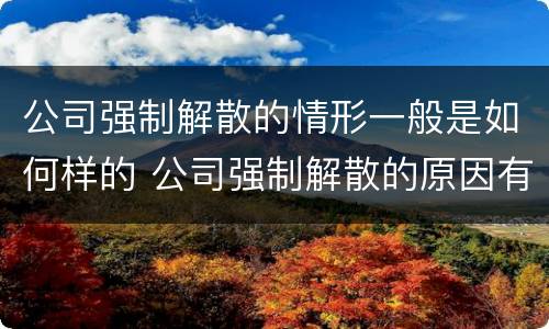 公司强制解散的情形一般是如何样的 公司强制解散的原因有哪些