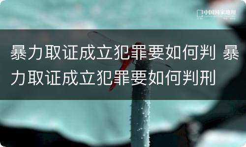 暴力取证成立犯罪要如何判 暴力取证成立犯罪要如何判刑