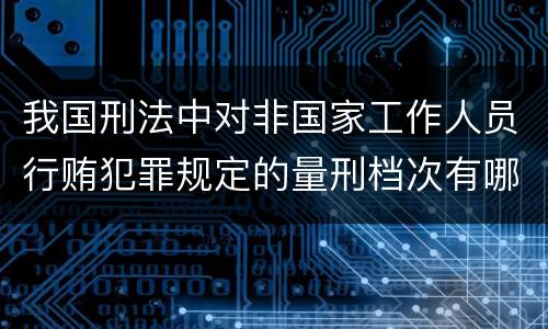 我国刑法中对非国家工作人员行贿犯罪规定的量刑档次有哪些