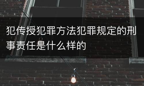 犯传授犯罪方法犯罪规定的刑事责任是什么样的