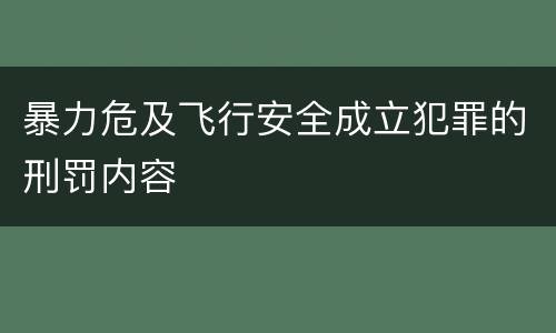 暴力危及飞行安全成立犯罪的刑罚内容