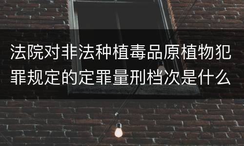 法院对非法种植毒品原植物犯罪规定的定罪量刑档次是什么样的