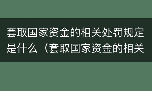 套取国家资金的相关处罚规定是什么（套取国家资金的相关处罚规定是什么意思）