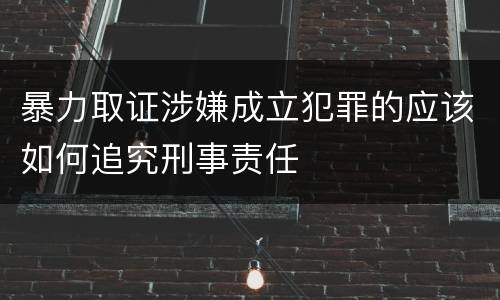 暴力取证涉嫌成立犯罪的应该如何追究刑事责任