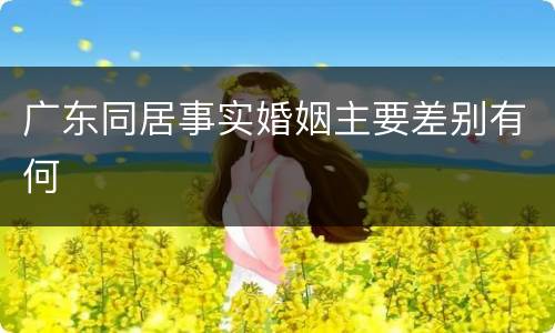 广东同居事实婚姻主要差别有何