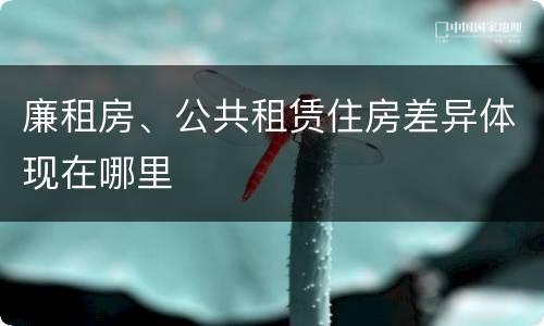 廉租房、公共租赁住房差异体现在哪里