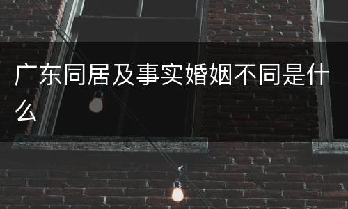 广东同居及事实婚姻不同是什么