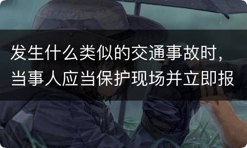 发生什么类似的交通事故时，当事人应当保护现场并立即报警