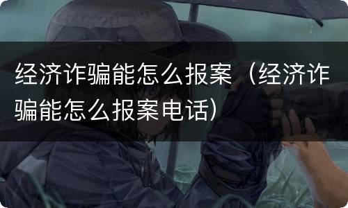 经济诈骗能怎么报案（经济诈骗能怎么报案电话）