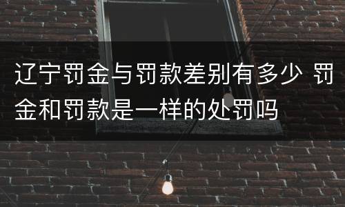 辽宁罚金与罚款差别有多少 罚金和罚款是一样的处罚吗