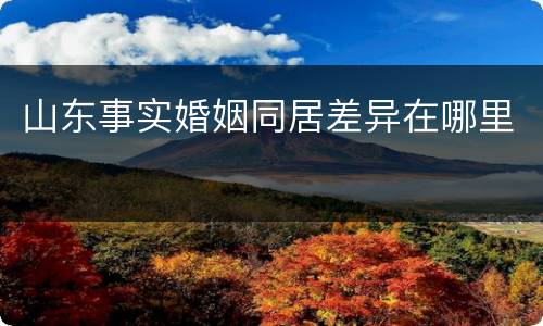 山东事实婚姻同居差异在哪里