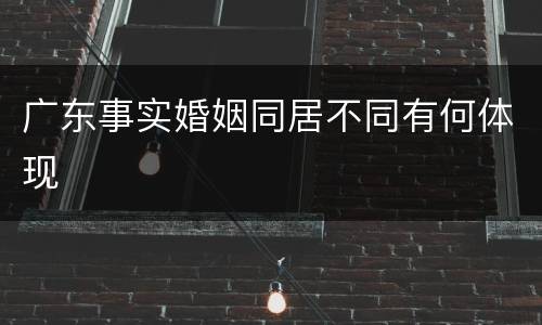 广东事实婚姻同居不同有何体现