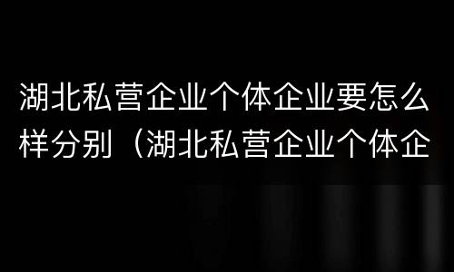 湖北私营企业个体企业要怎么样分别（湖北私营企业个体企业要怎么样分别交税）