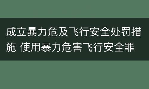 成立暴力危及飞行安全处罚措施 使用暴力危害飞行安全罪