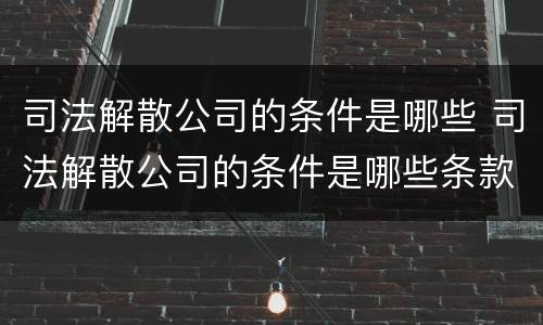 司法解散公司的条件是哪些 司法解散公司的条件是哪些条款