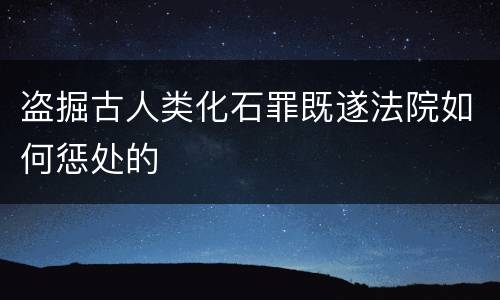 盗掘古人类化石罪既遂法院如何惩处的