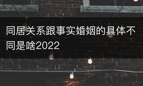 同居关系跟事实婚姻的具体不同是啥2022