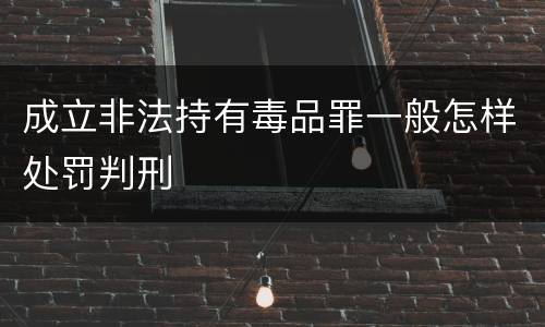 成立非法持有毒品罪一般怎样处罚判刑