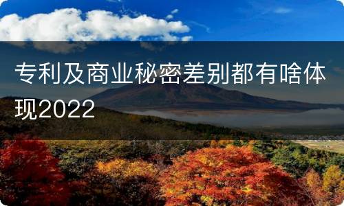 专利及商业秘密差别都有啥体现2022