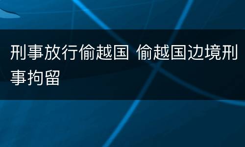 刑事放行偷越国 偷越国边境刑事拘留