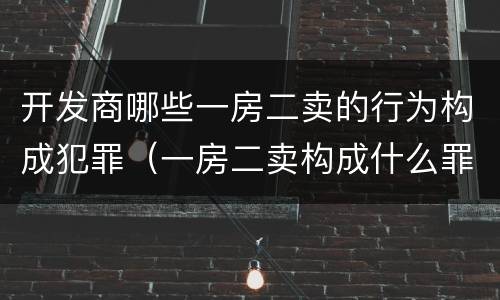 开发商哪些一房二卖的行为构成犯罪（一房二卖构成什么罪）