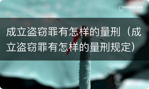 成立盗窃罪有怎样的量刑（成立盗窃罪有怎样的量刑规定）