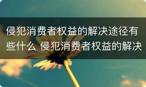 侵犯消费者权益的解决途径有些什么 侵犯消费者权益的解决途径有哪些