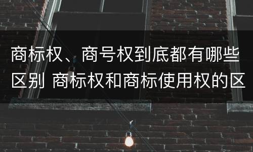 商标权、商号权到底都有哪些区别 商标权和商标使用权的区别